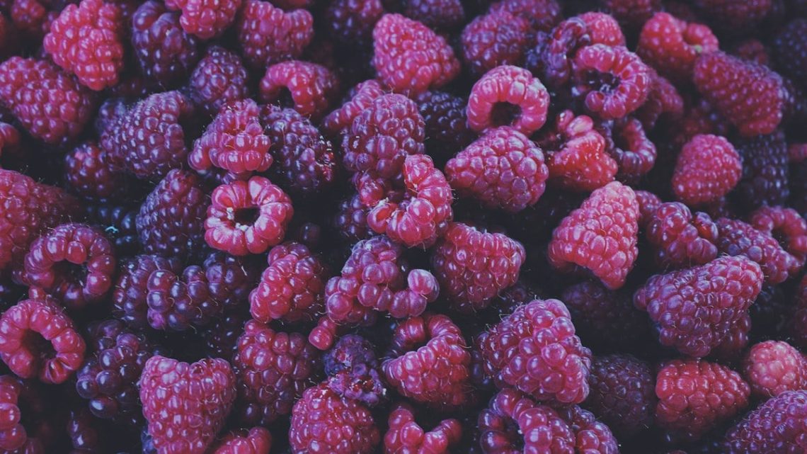 I went raspberry picking, and took this.